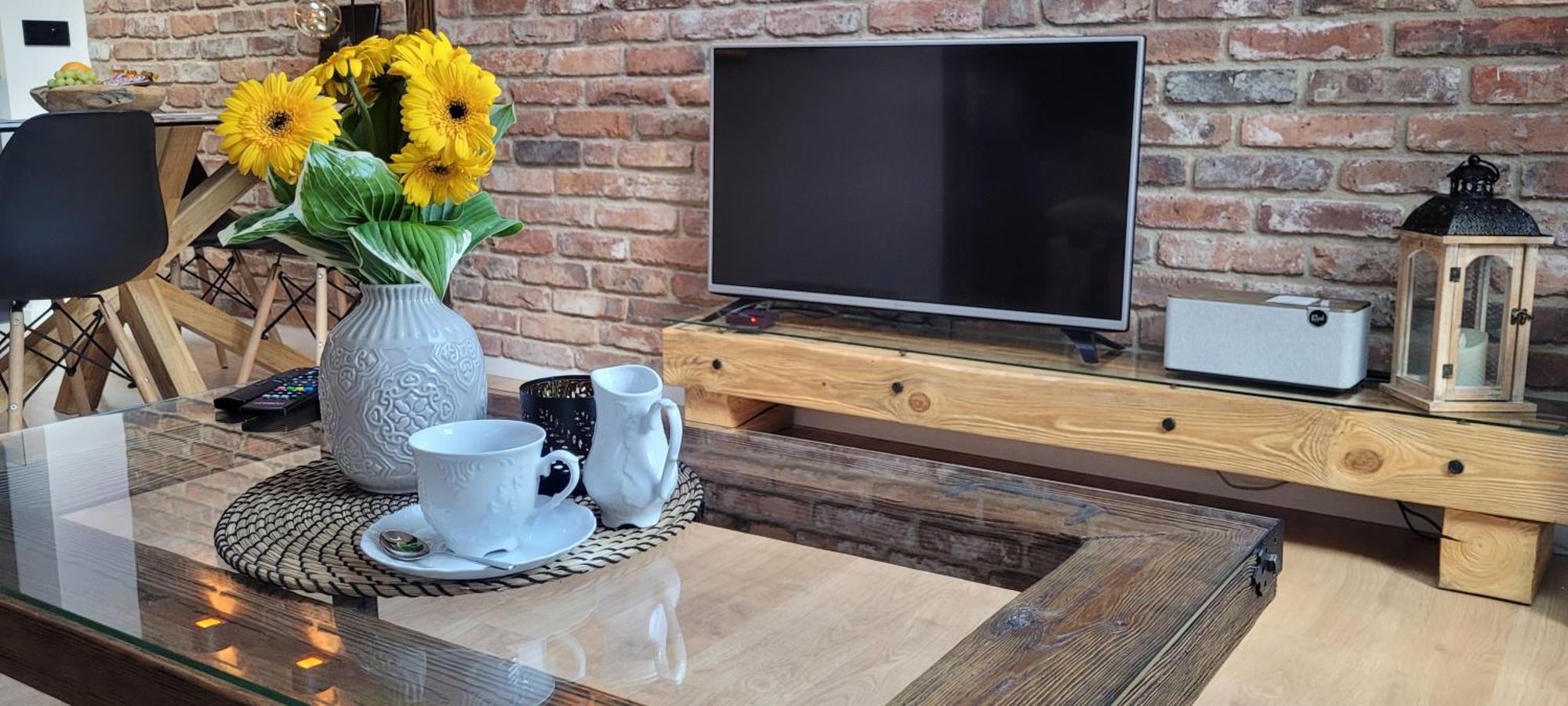 Loft Manufaktura Grossa Appartement Bielsko-Biała Buitenkant foto