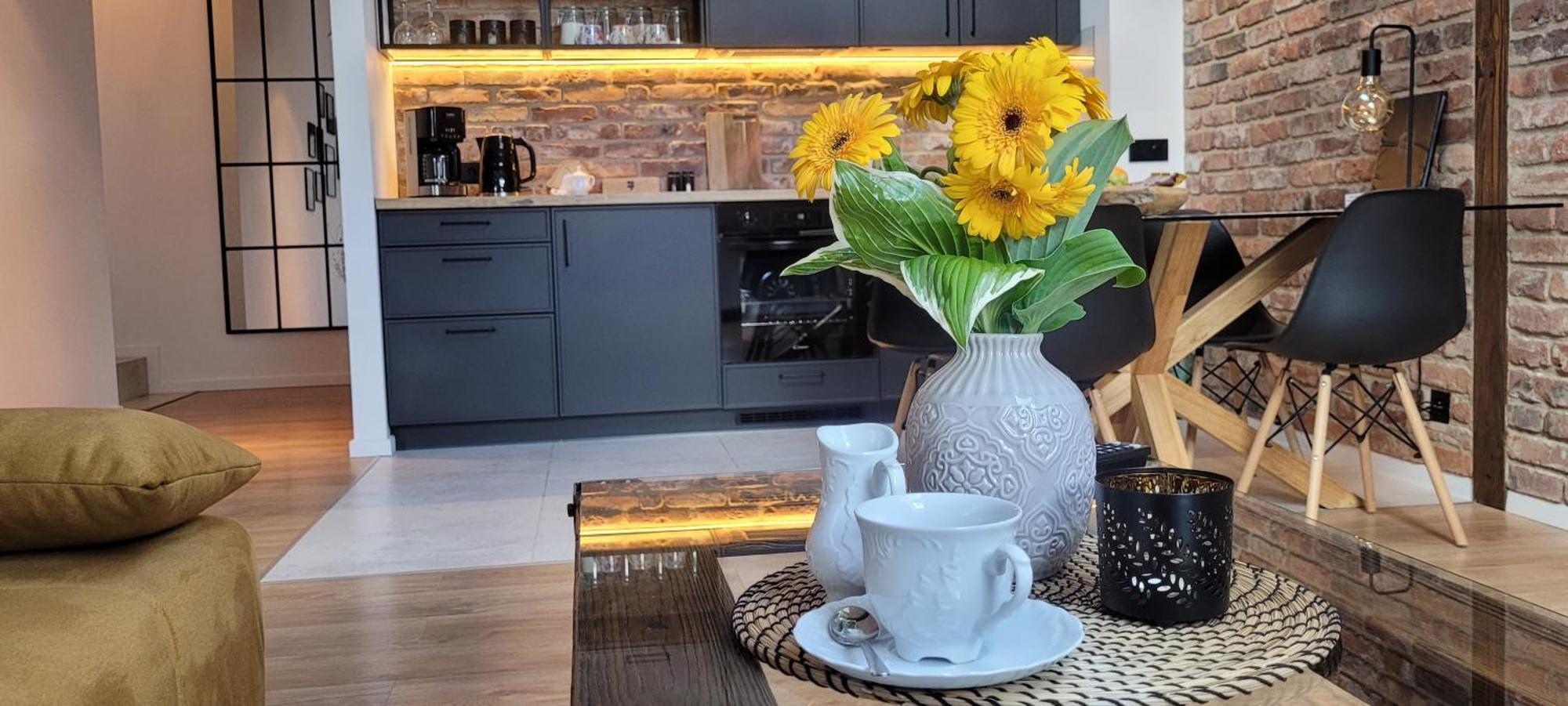 Loft Manufaktura Grossa Appartement Bielsko-Biała Buitenkant foto